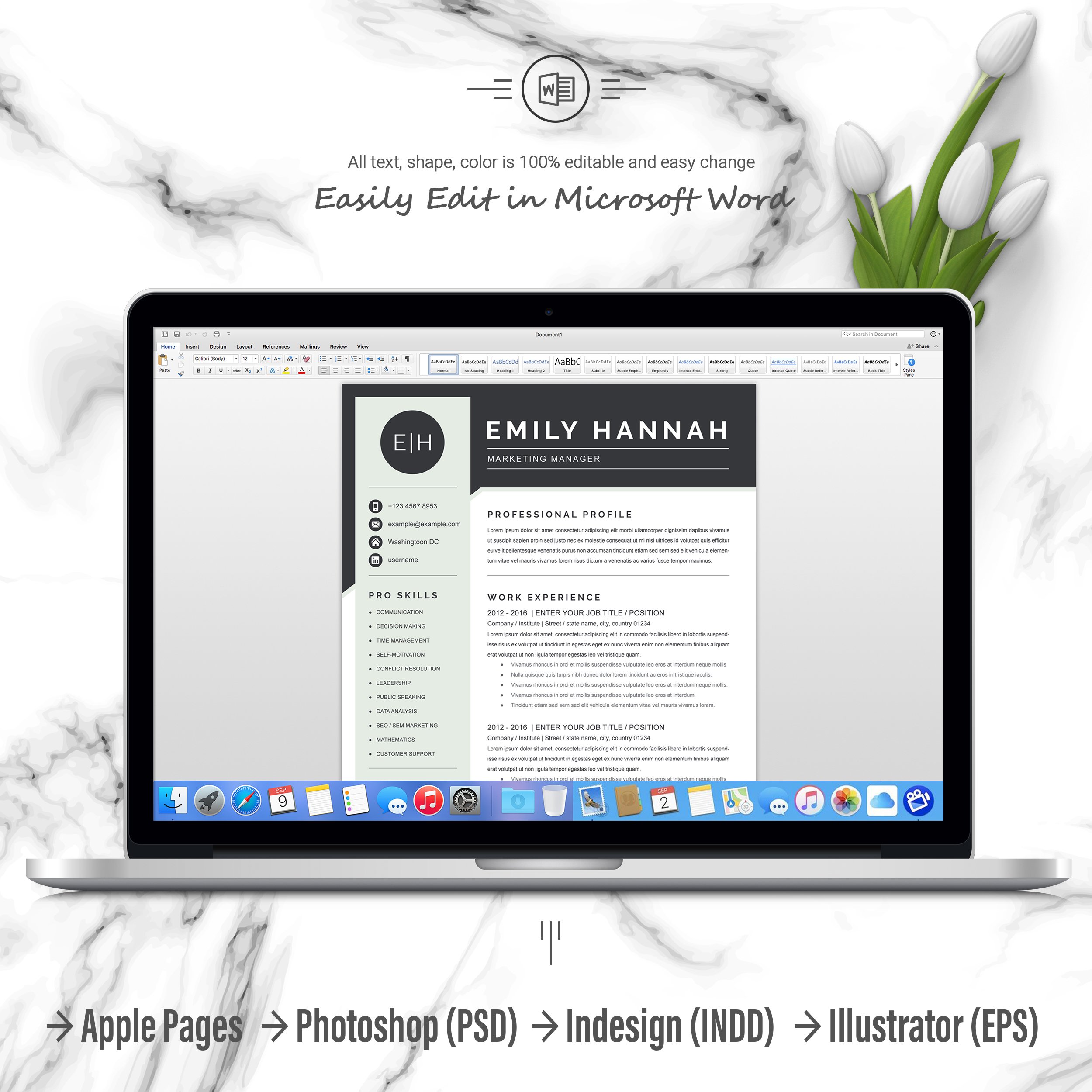 06 3 pages free resume ms word file format design template 454