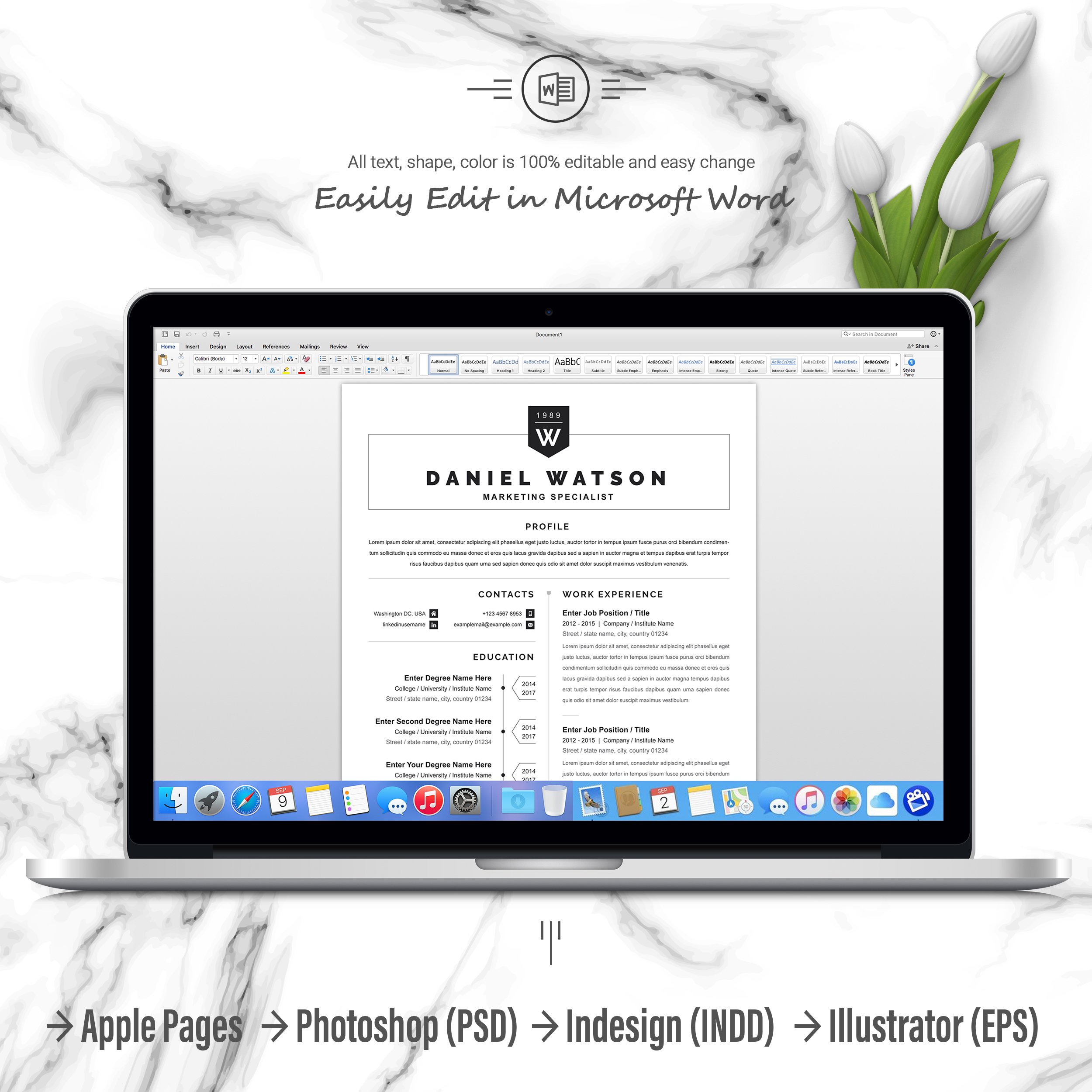 06 3 pages free resume ms word file format design template 586