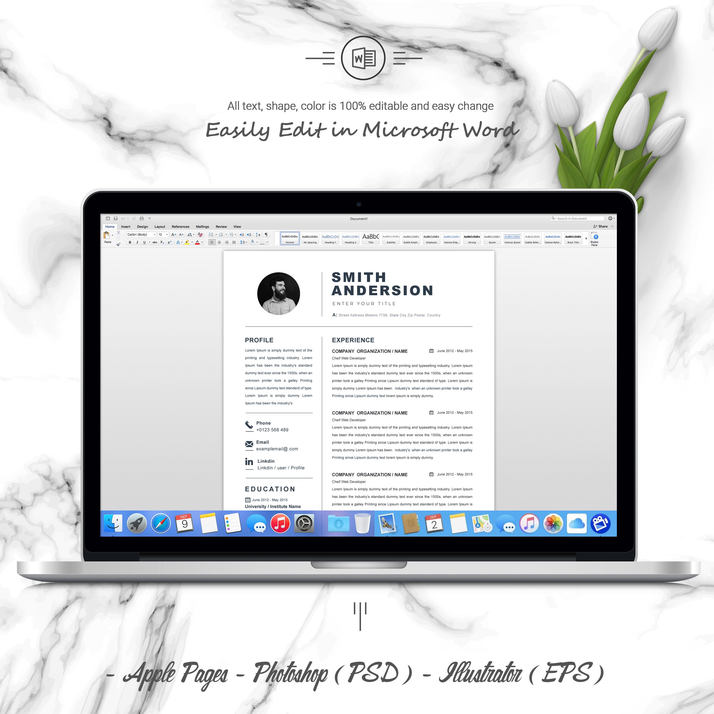 06 3 pages free resume ms word file format design template 710