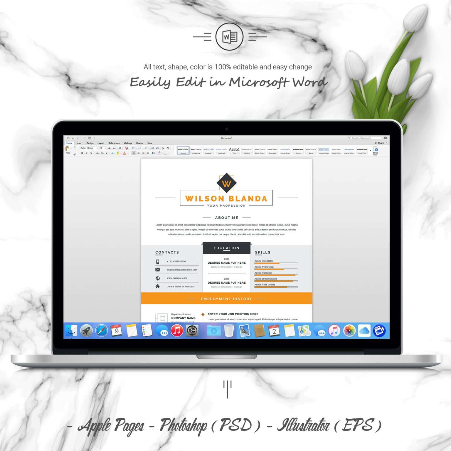 Clean CV / Resume Template – MasterBundles