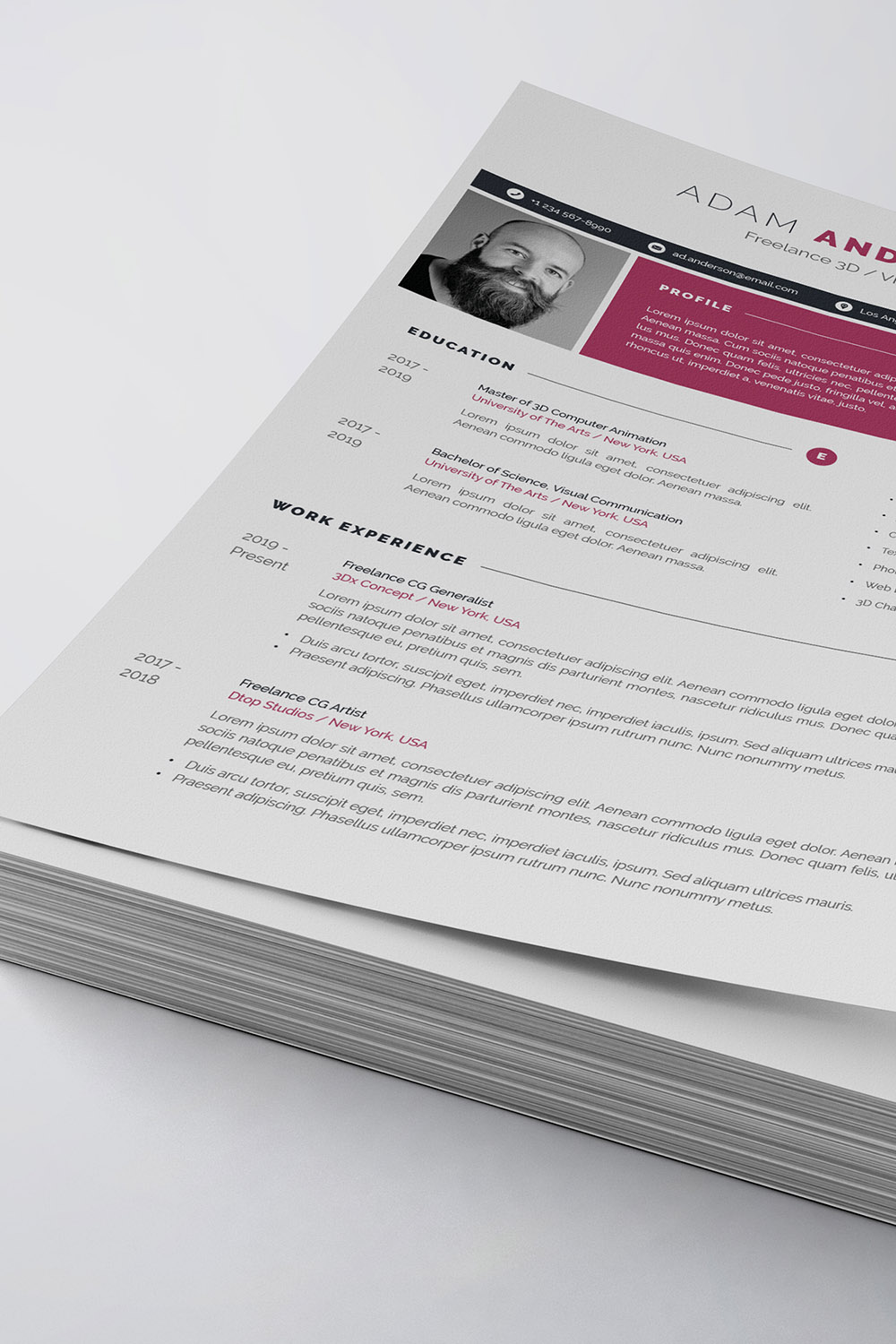 Professional Resume/CV Template pinterest preview image.