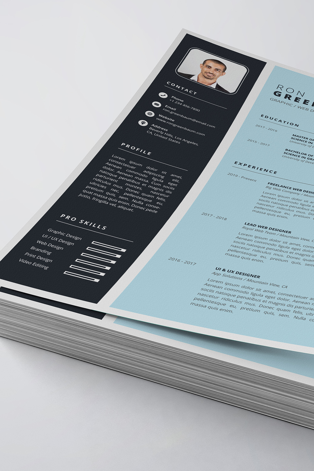 Professional Resume/CV Template pinterest preview image.