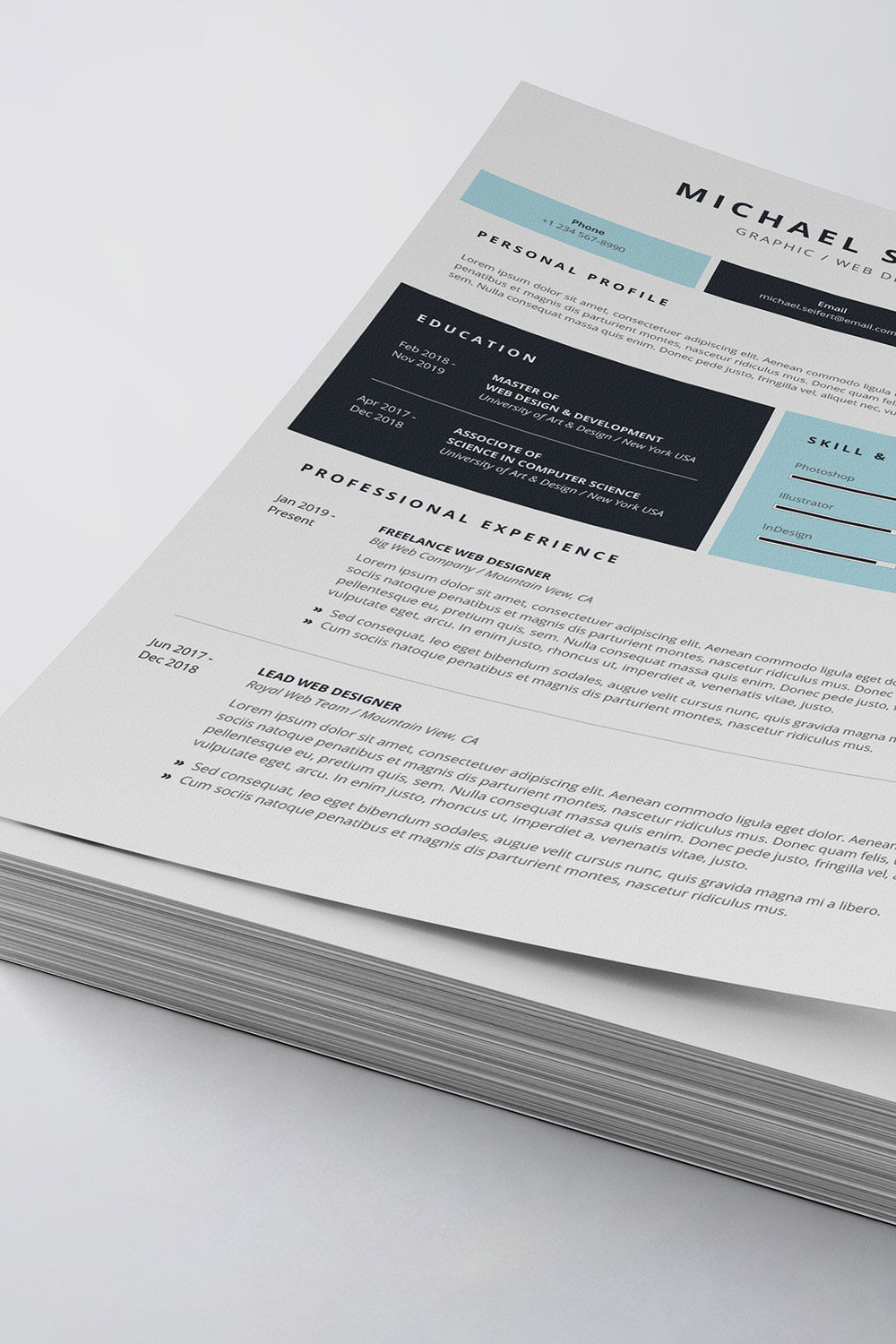 Professional Resume/CV Template pinterest preview image.