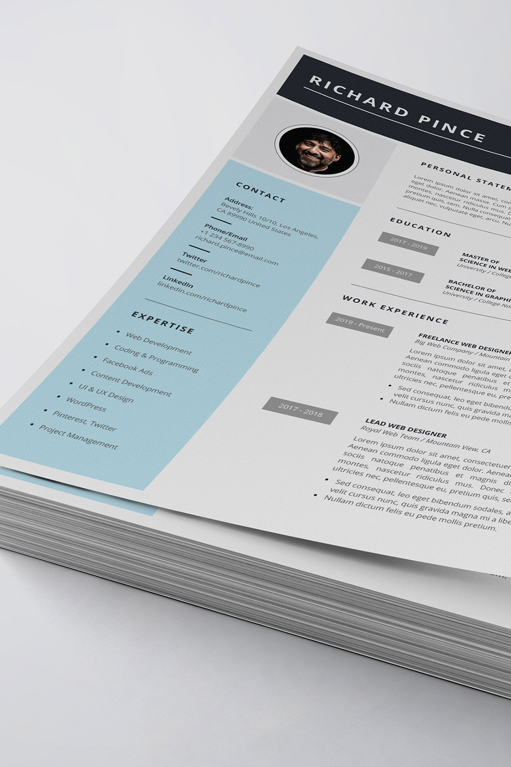 Professional Resume/CV Template pinterest preview image.