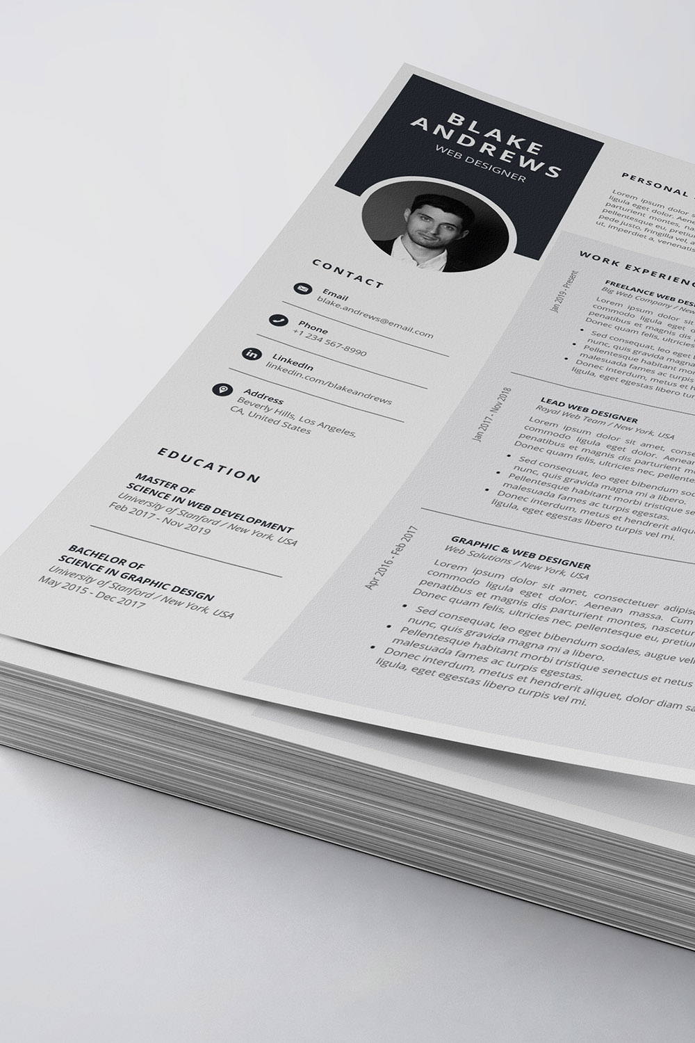 Professional Resume/CV Template pinterest preview image.