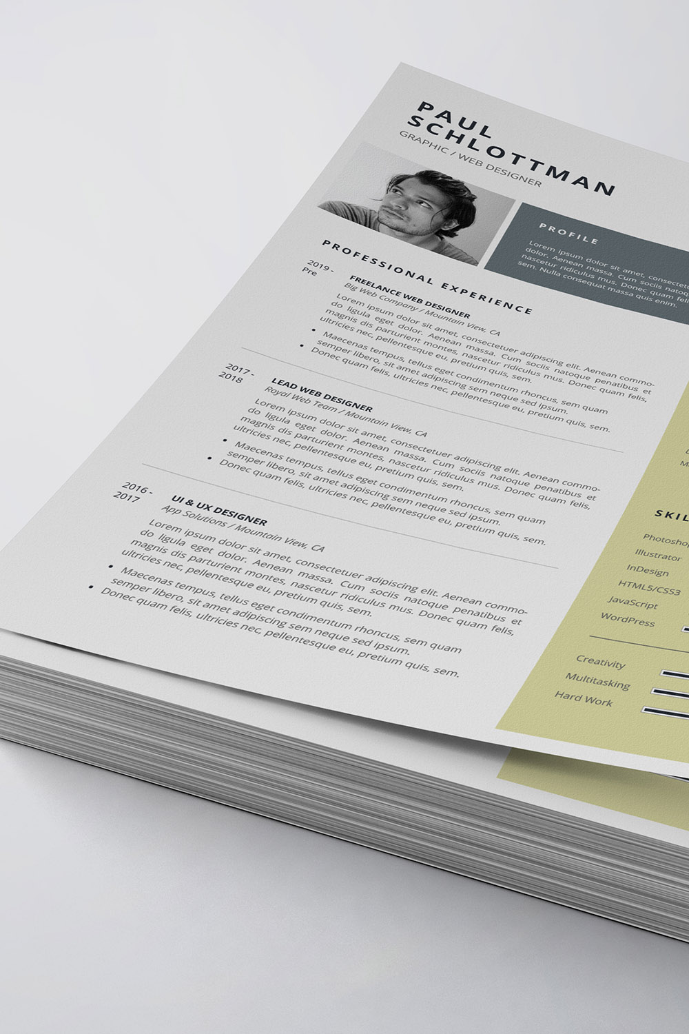 Professional Resume/CV Template pinterest preview image.