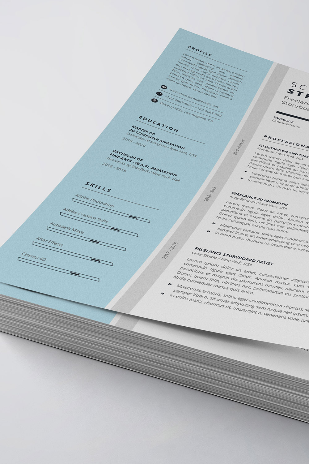 Professional Resume/CV Template pinterest preview image.