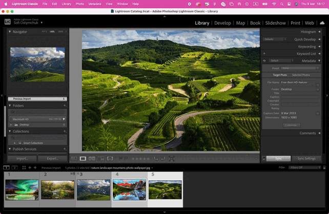 Screenshot of Lightroom with Rate Selected Images Side by Side.