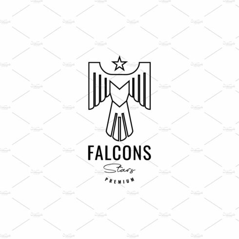 flying falcon with star logo cover image.