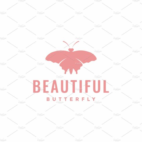 beautiful insect butterfly logo cover image.