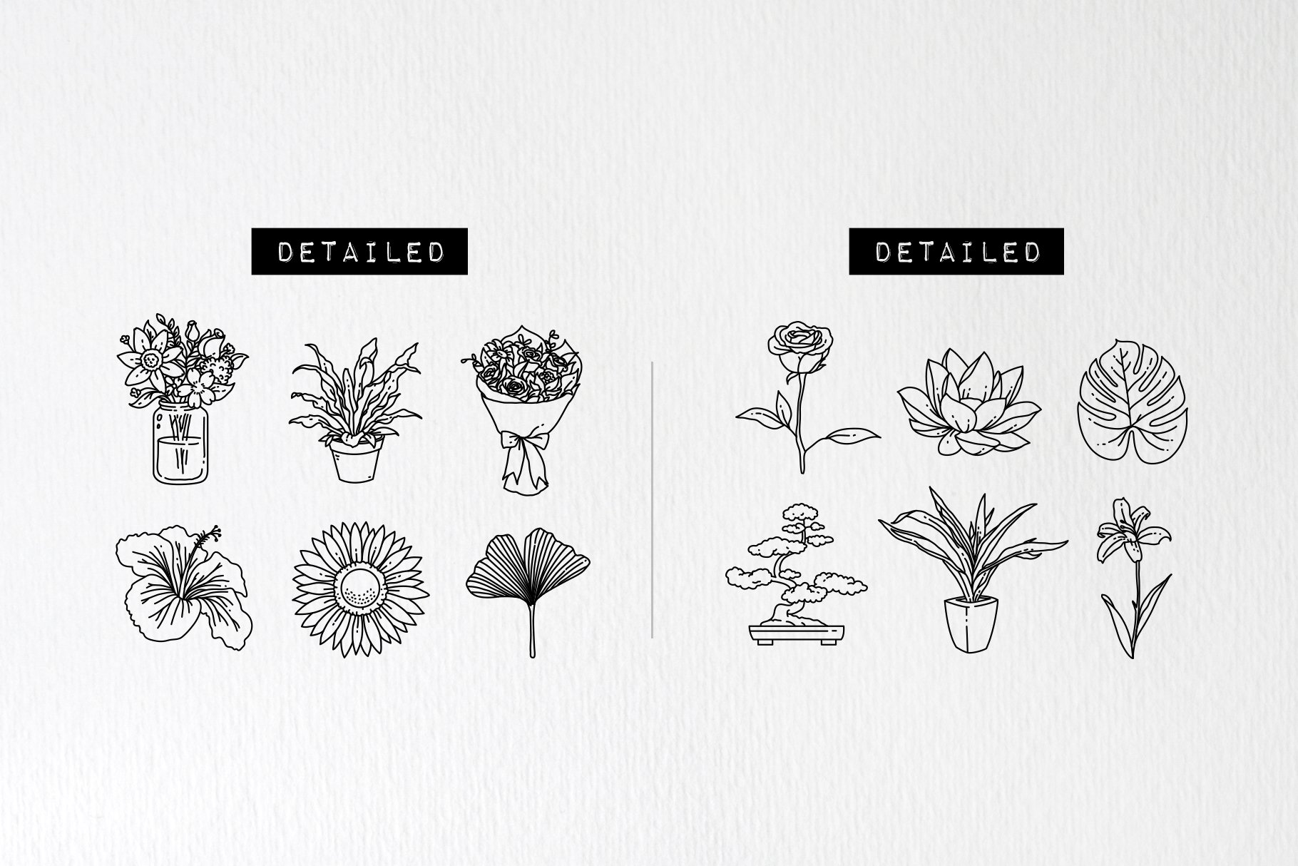08 plant flower illustrations 31