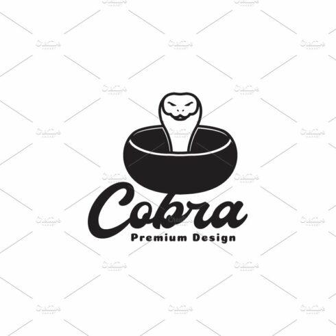 black snake cobra circular logo cover image.