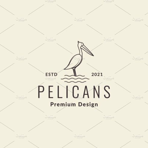 lines hipster bird pelican logo cover image.