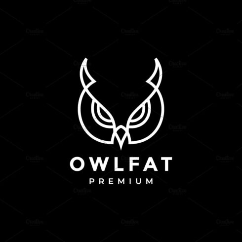 face eagle owl logo design vector cover image.