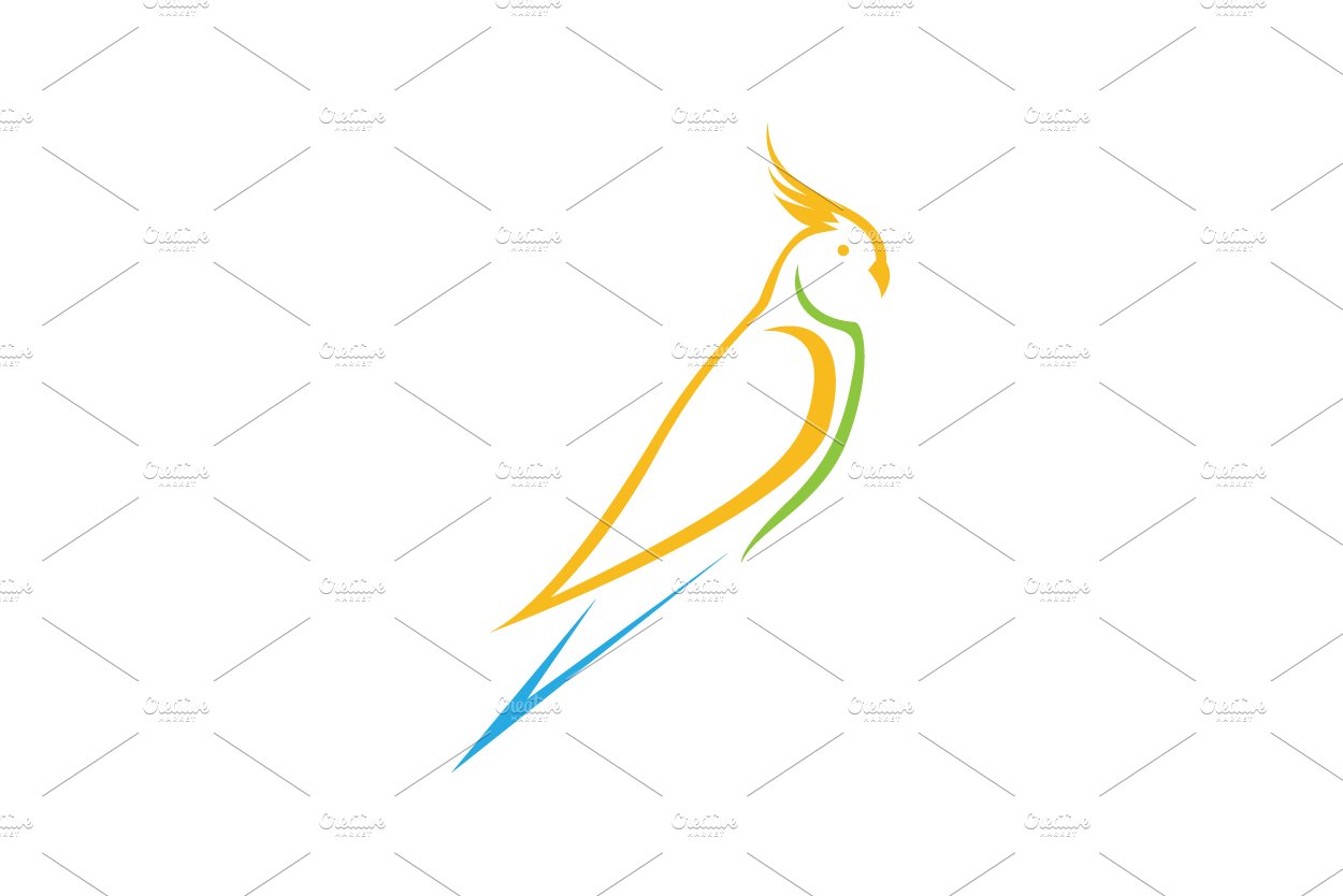 colorful bird parakeet logo cover image.