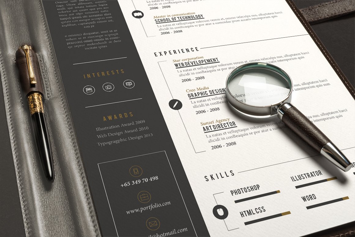 Pro Resume preview image.