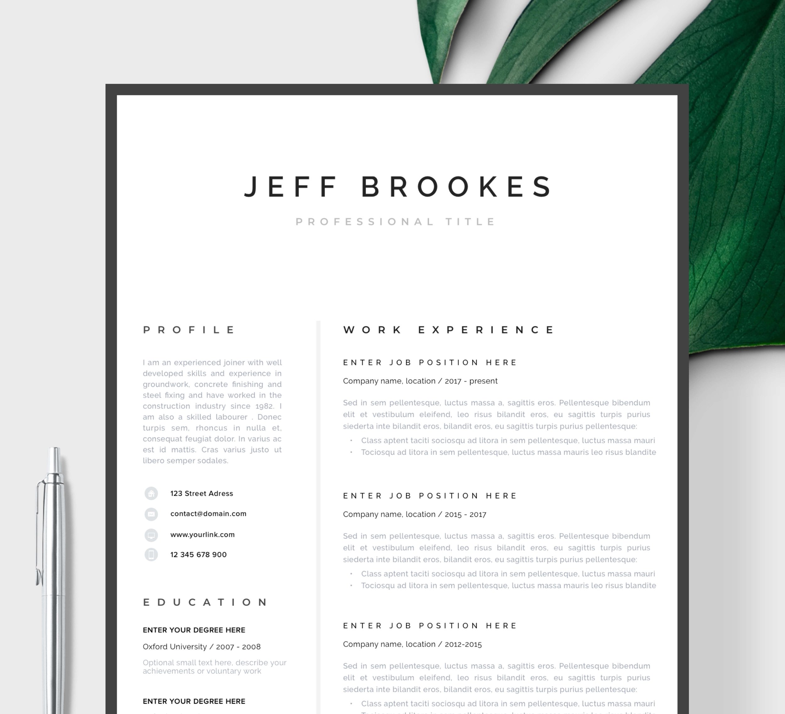 Professional CV Resume Template preview image.