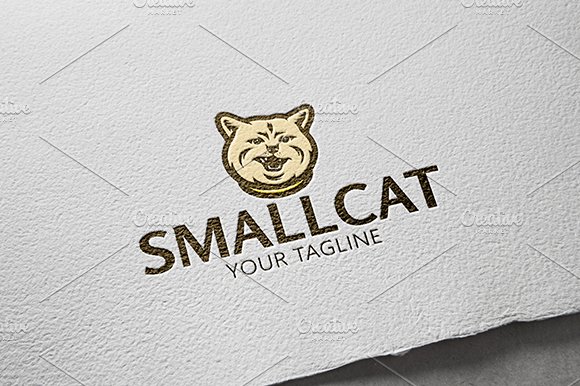 Small Cat cover image.