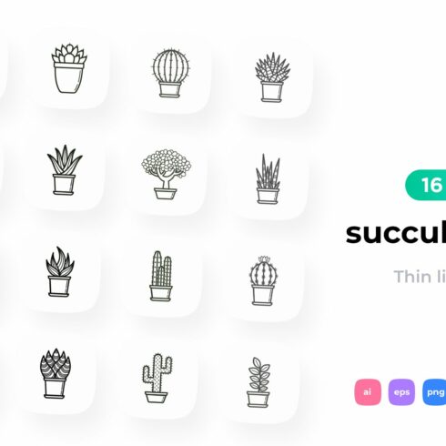 Succulents 16 Thin Line Icons Set cover image.