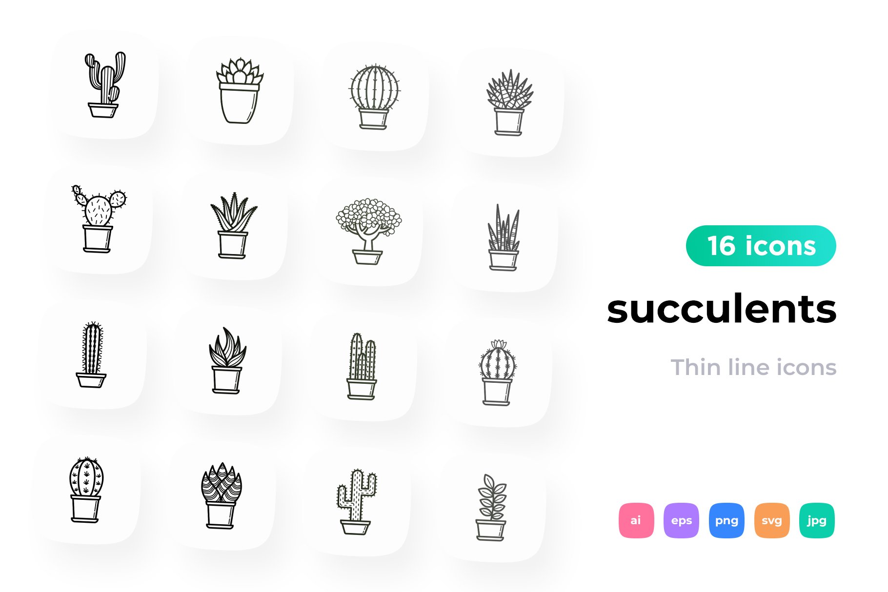 Succulents 16 Thin Line Icons Set cover image.