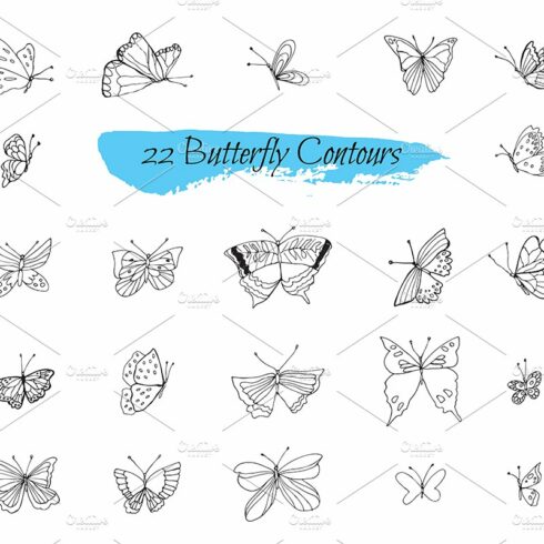 №240 Collection sketches Butterflies cover image.