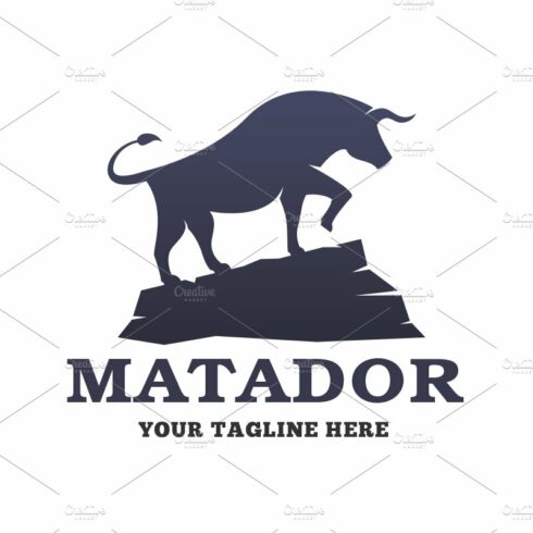 Matador Logo cover image.