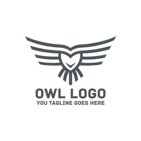 Fly Owl Logo cover image.