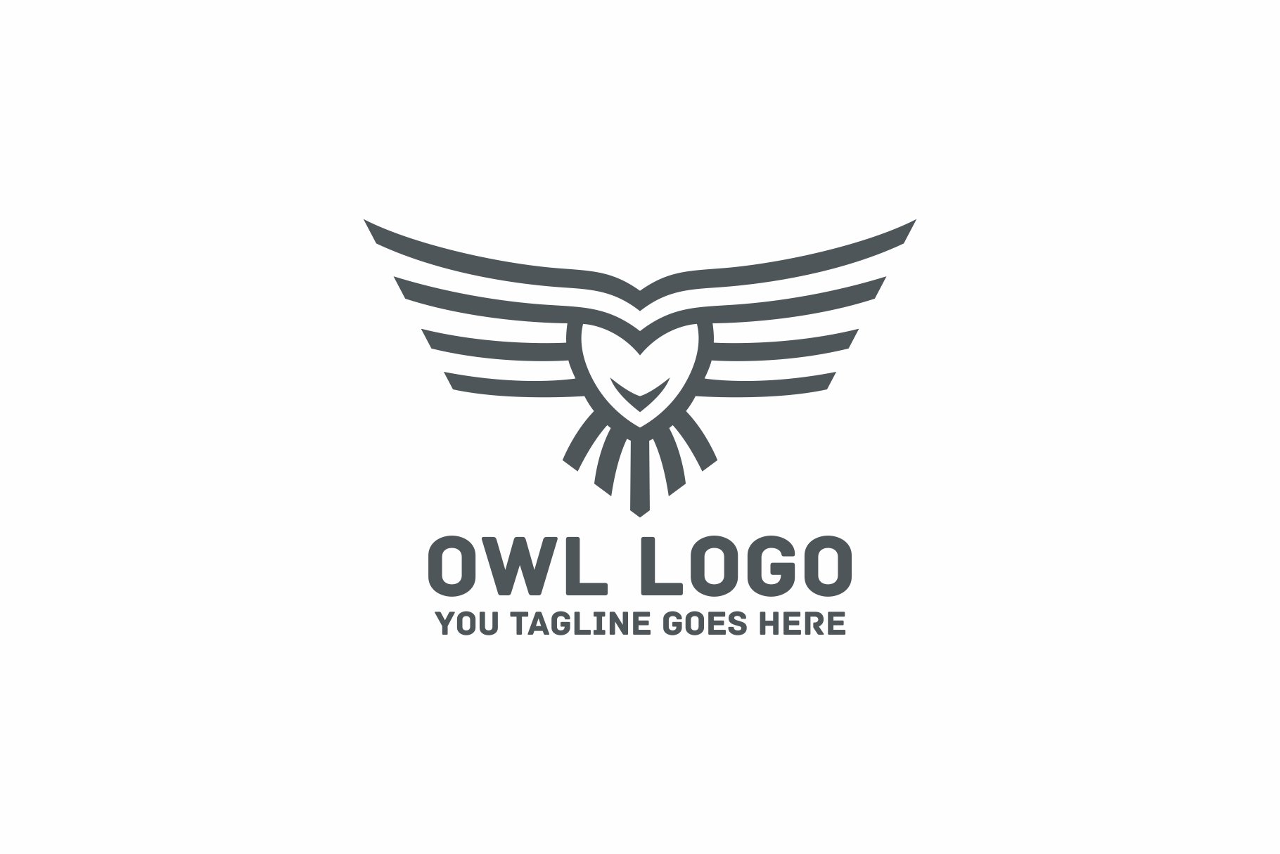 Fly Owl Logo cover image.