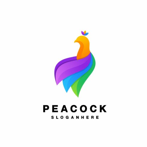 peacock logo gradient colorful cover image.