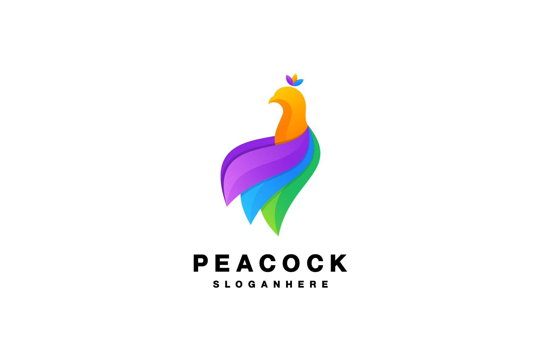 peacock logo gradient colorful cover image.