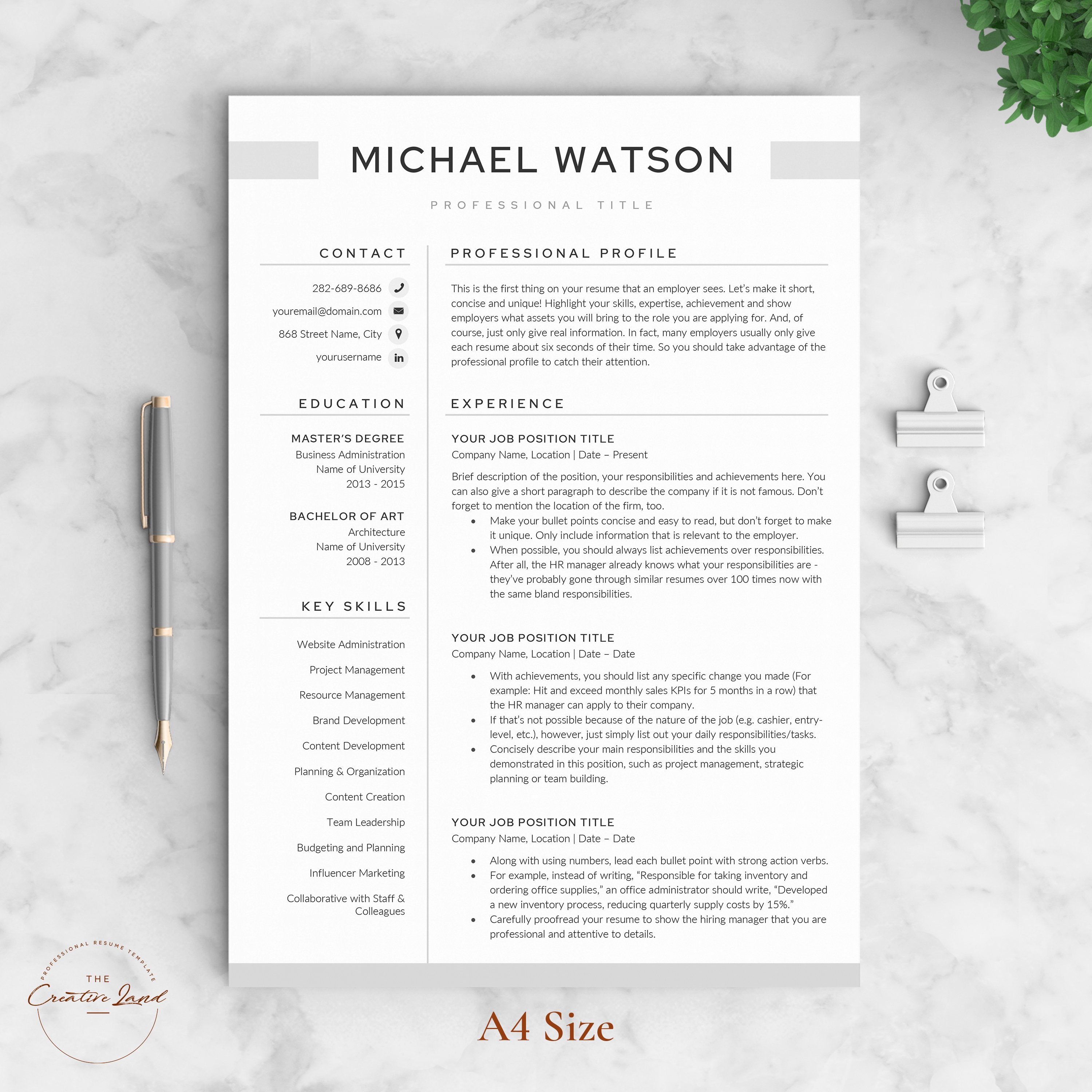 Professional resume template for microsoft.