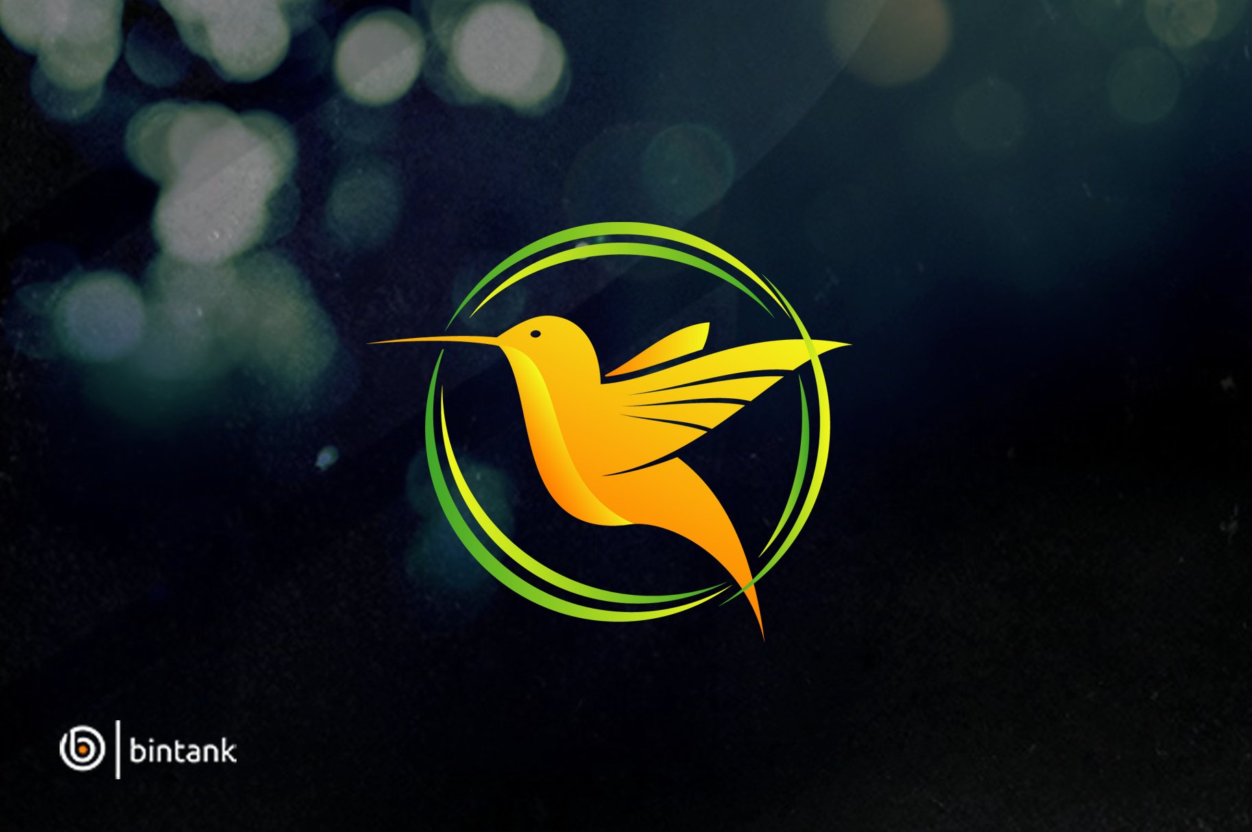 Beautiful Humming Bird Logo preview image.