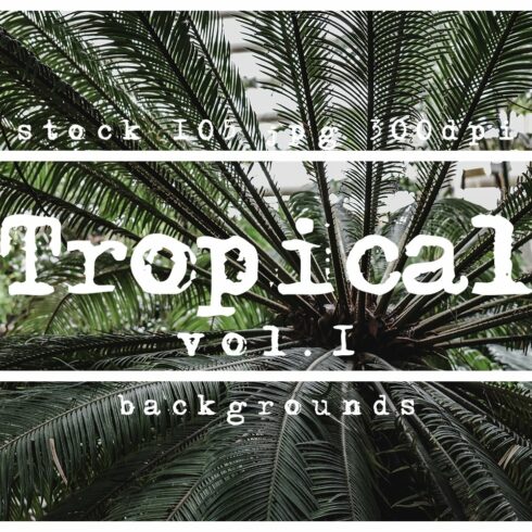 Tropical Photoshop textures cover image.