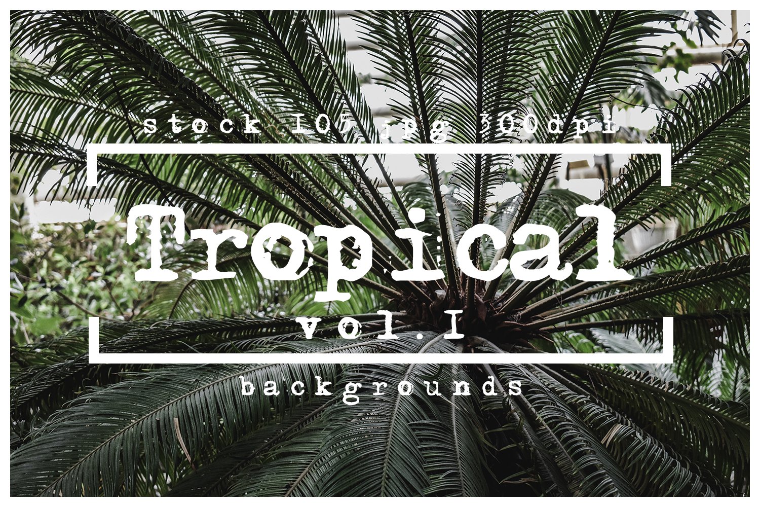 Tropical Photoshop textures cover image.