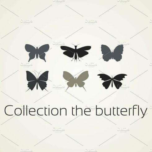 Collection the butterfly cover image.