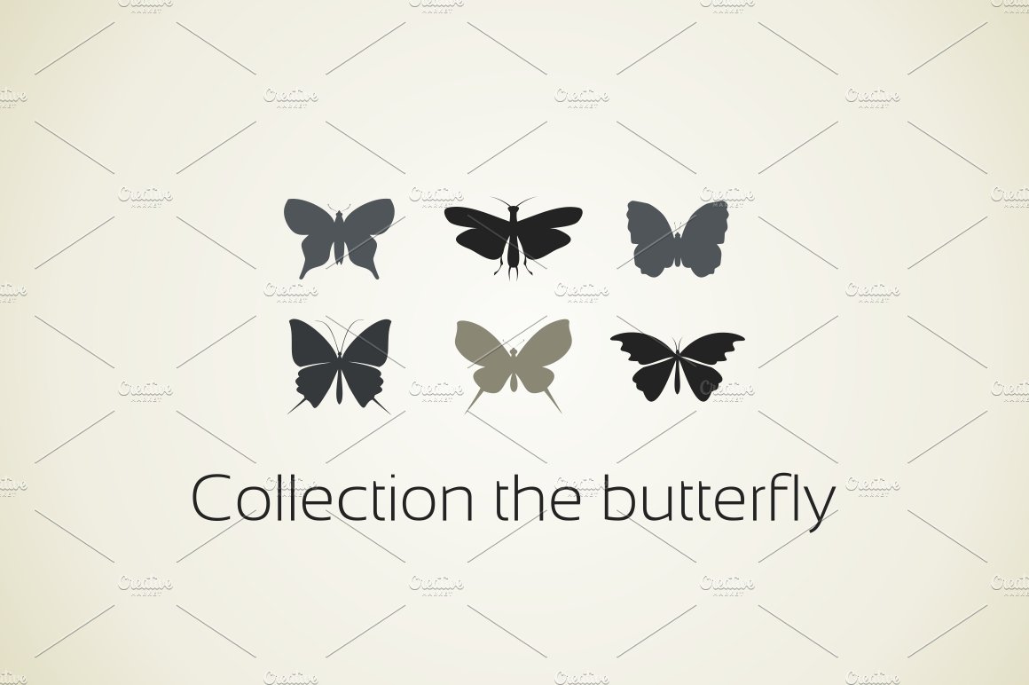 Collection the butterfly cover image.