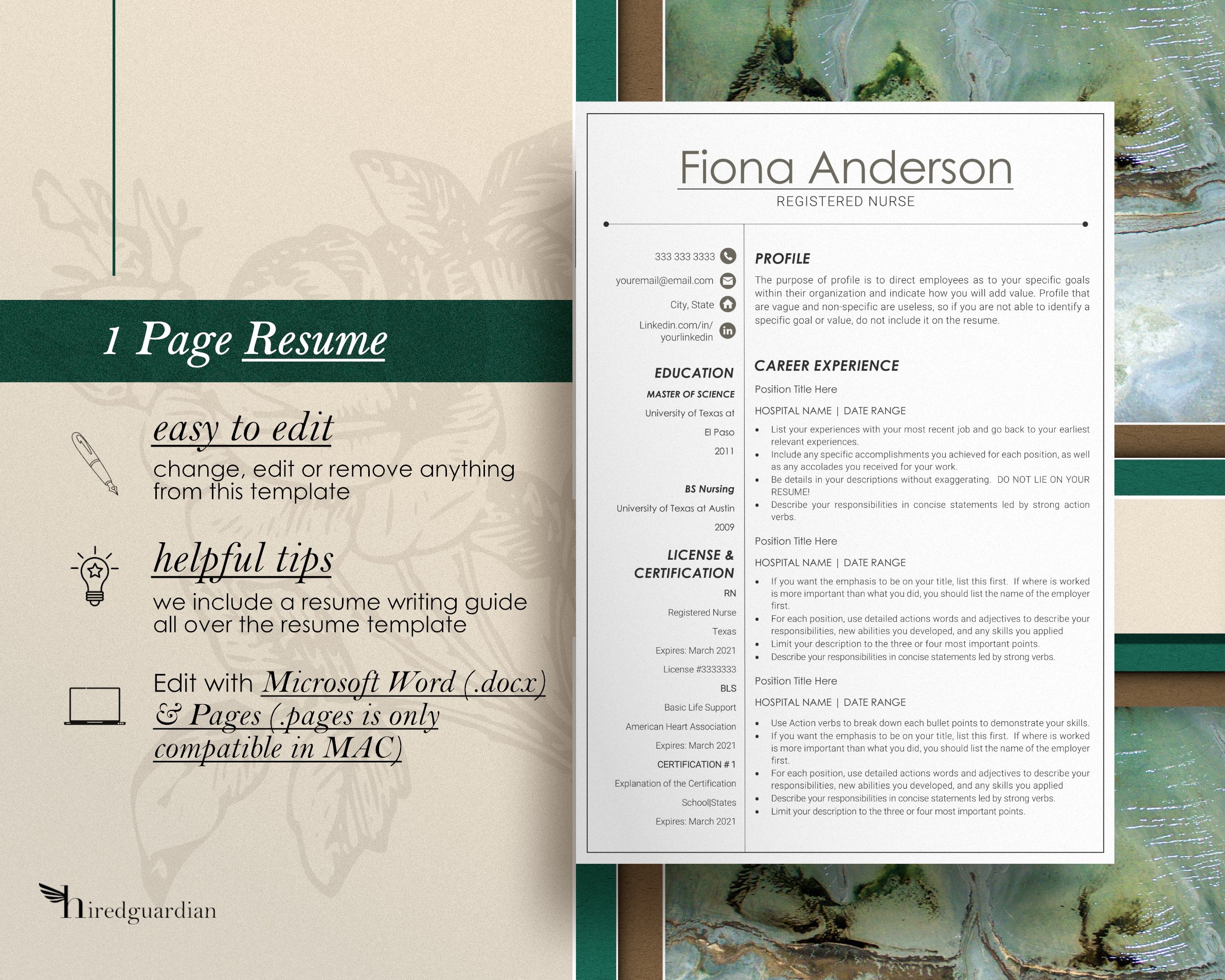 Green and white resume with a green border.