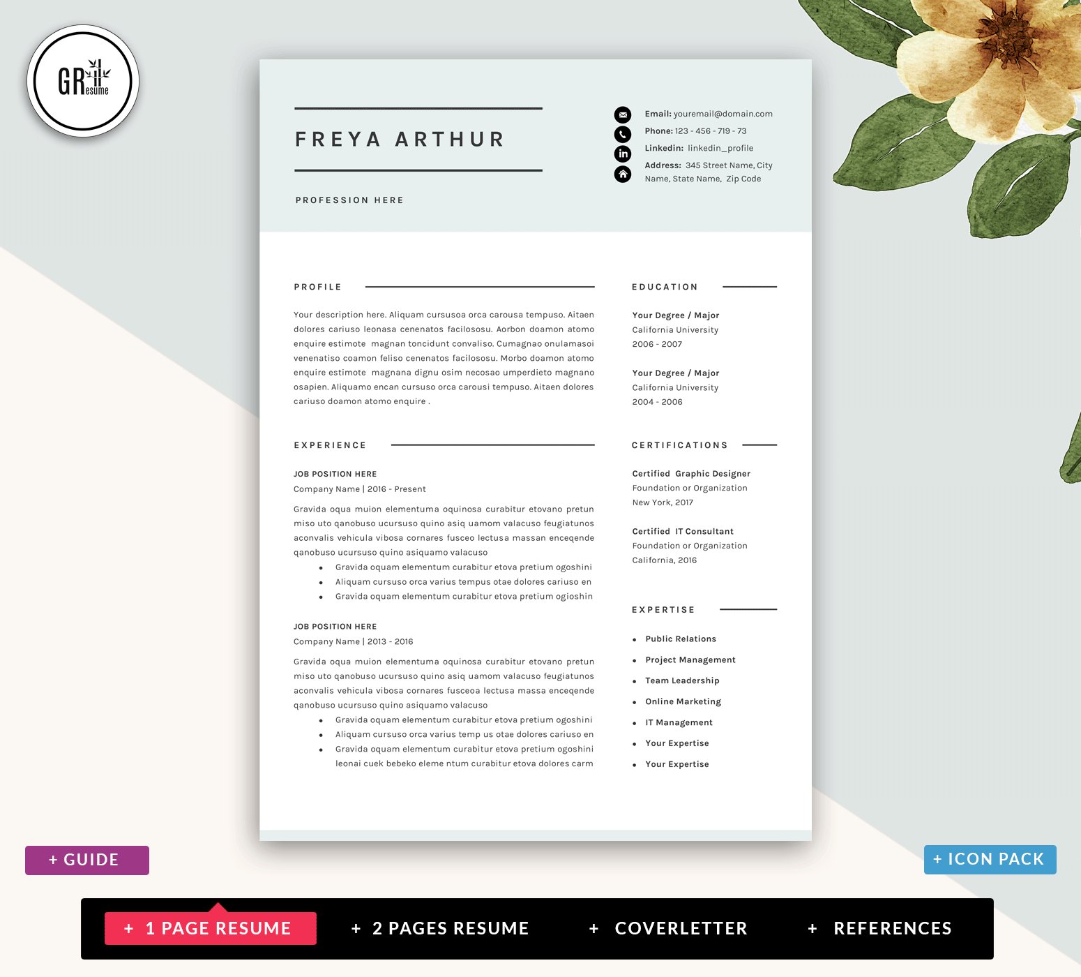 Professional CV Resume Templates preview image.