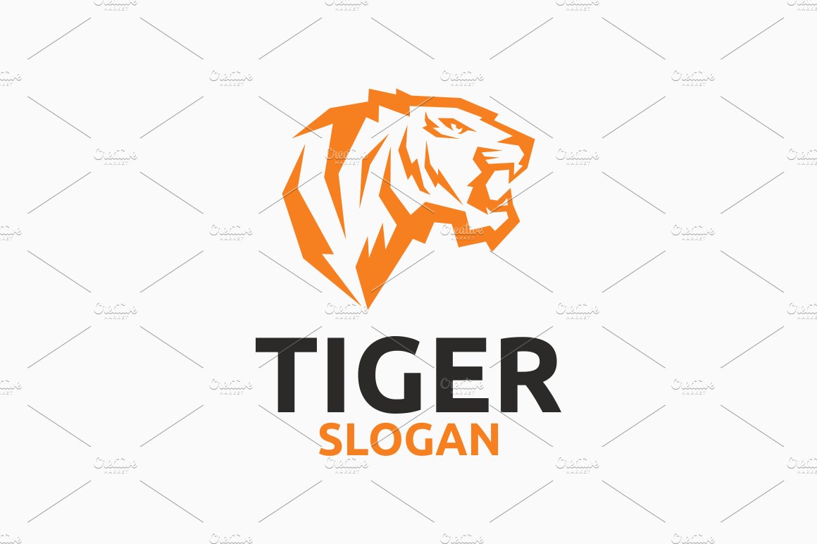 Tiger cover image.
