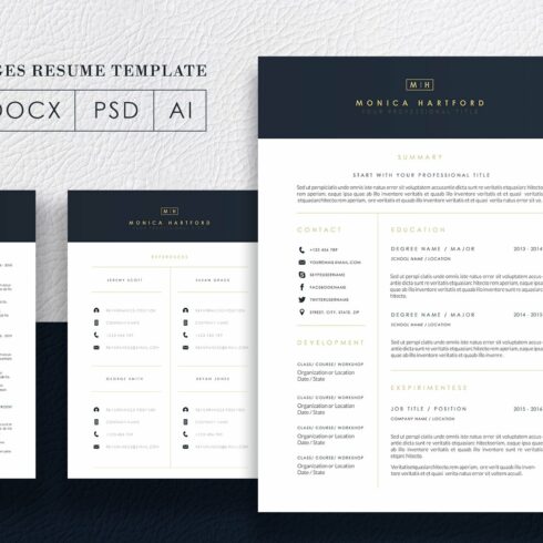 3 Pages Elegant Resume/CV Template M cover image.