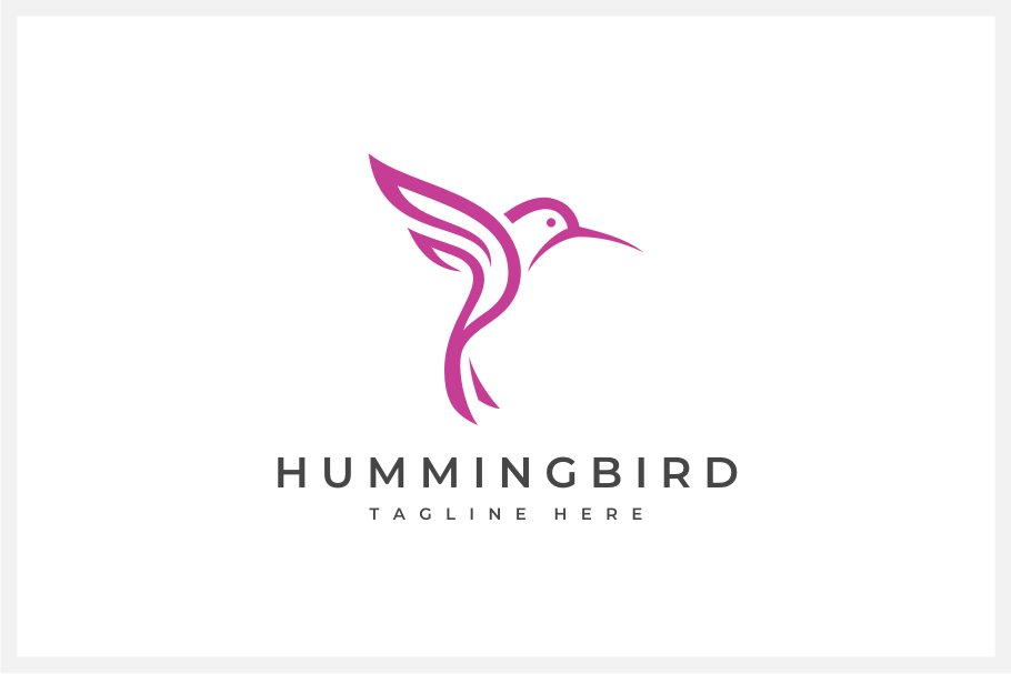 Hummingbird Logo cover image.