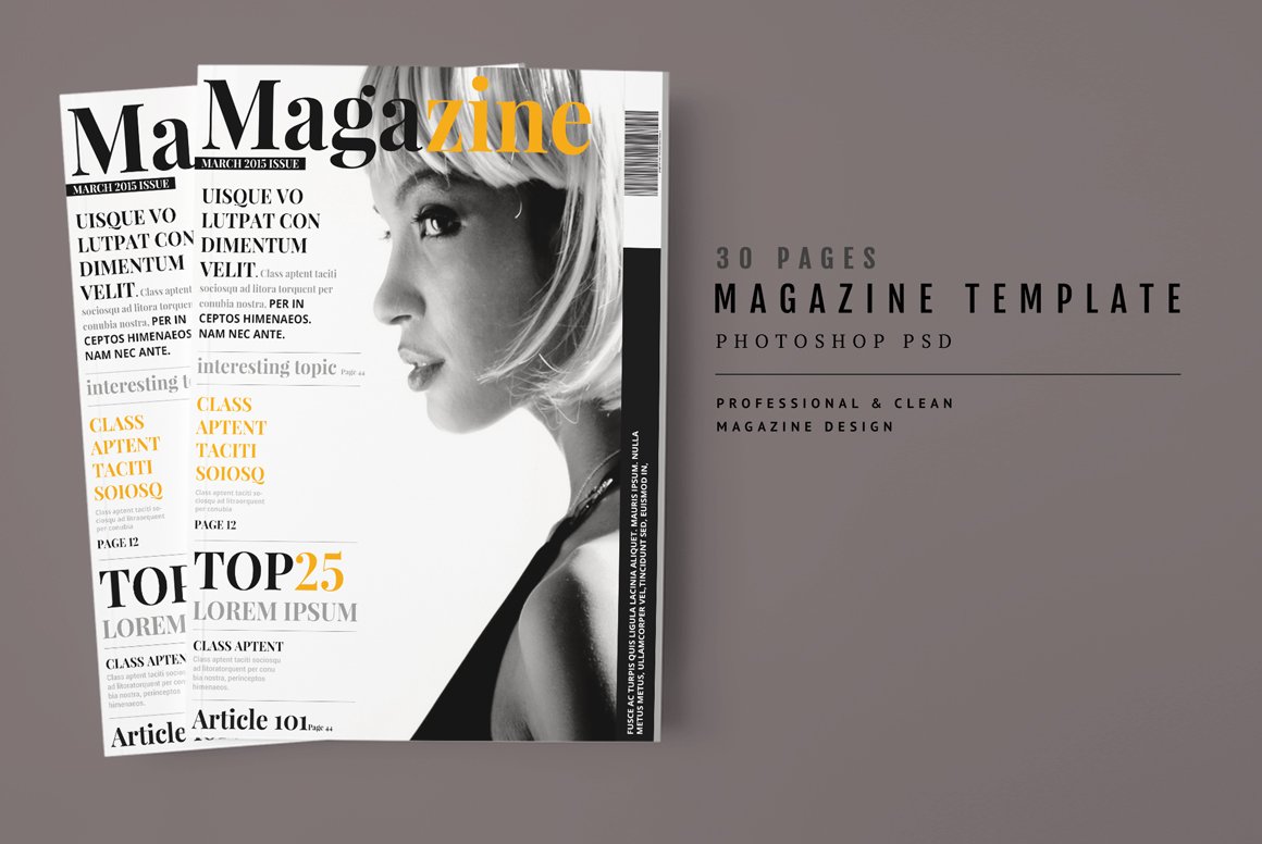 Magazine Template 45 cover image.