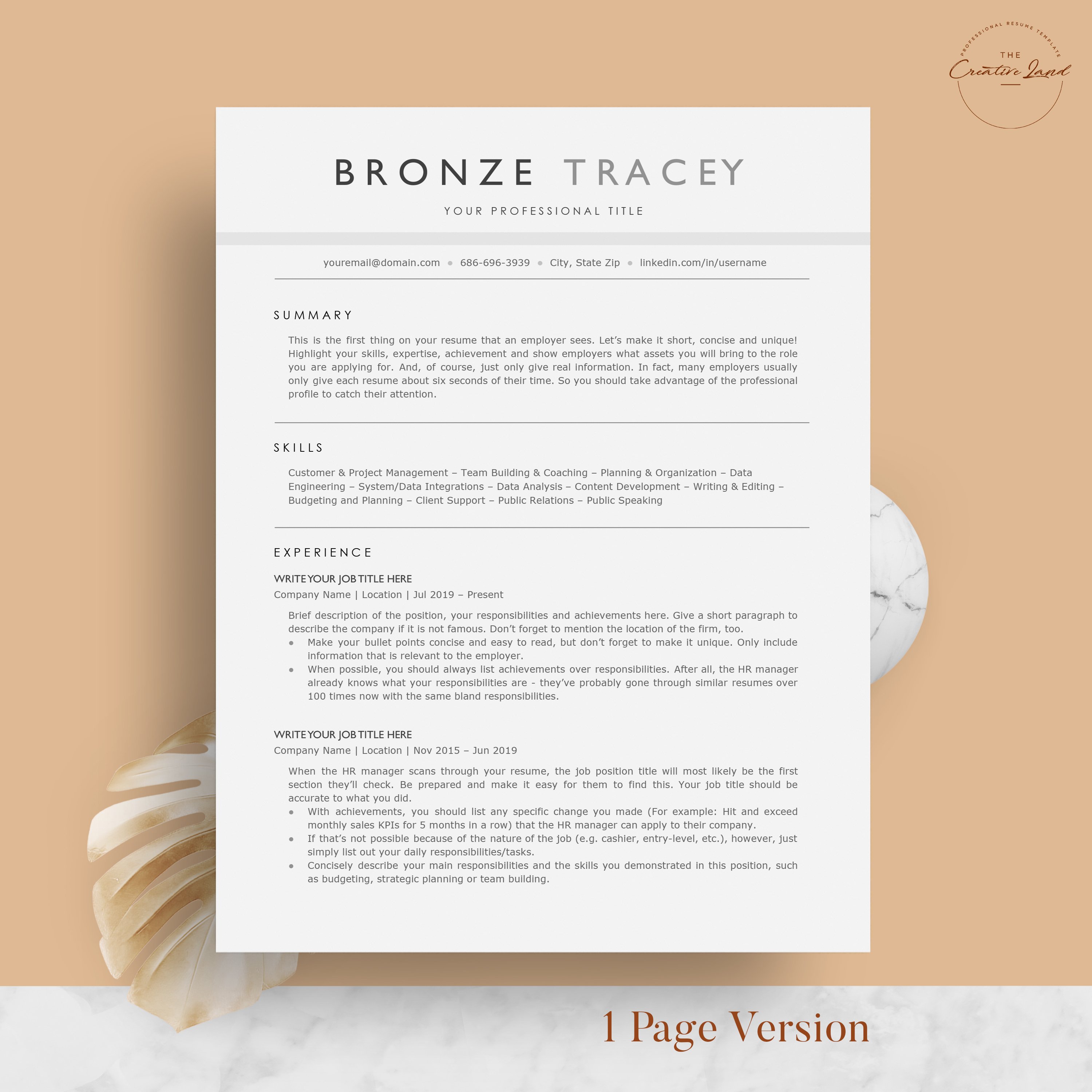 Clean ATS Resume/CV - The Bronze preview image.