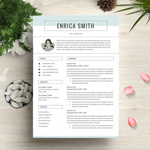 Professional resume template with a blue border.