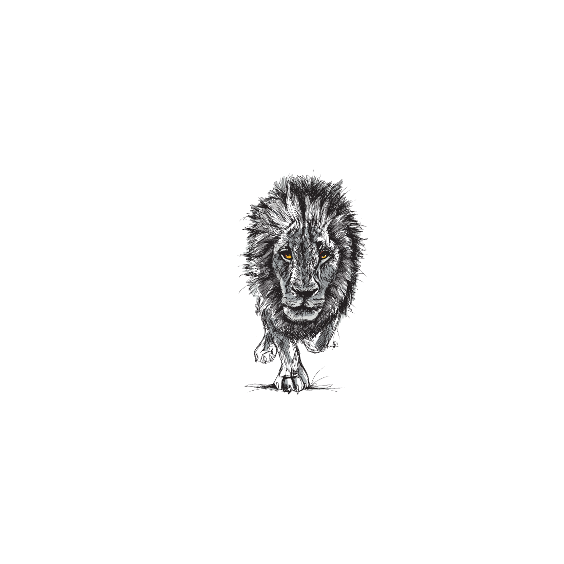 Black and white photo of a lion on a black background.