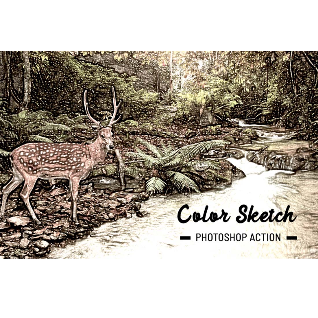 Color Sketch Photoshop Action cover image.