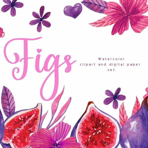 Watercolor Fig Fruit Pattern and Clipart cover image.