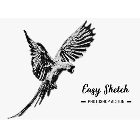 Easy Sketch Photoshop Action cover image.