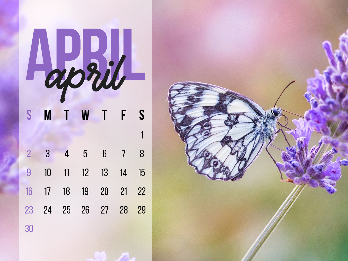 Calendar with a butterfly sitting on a flower.