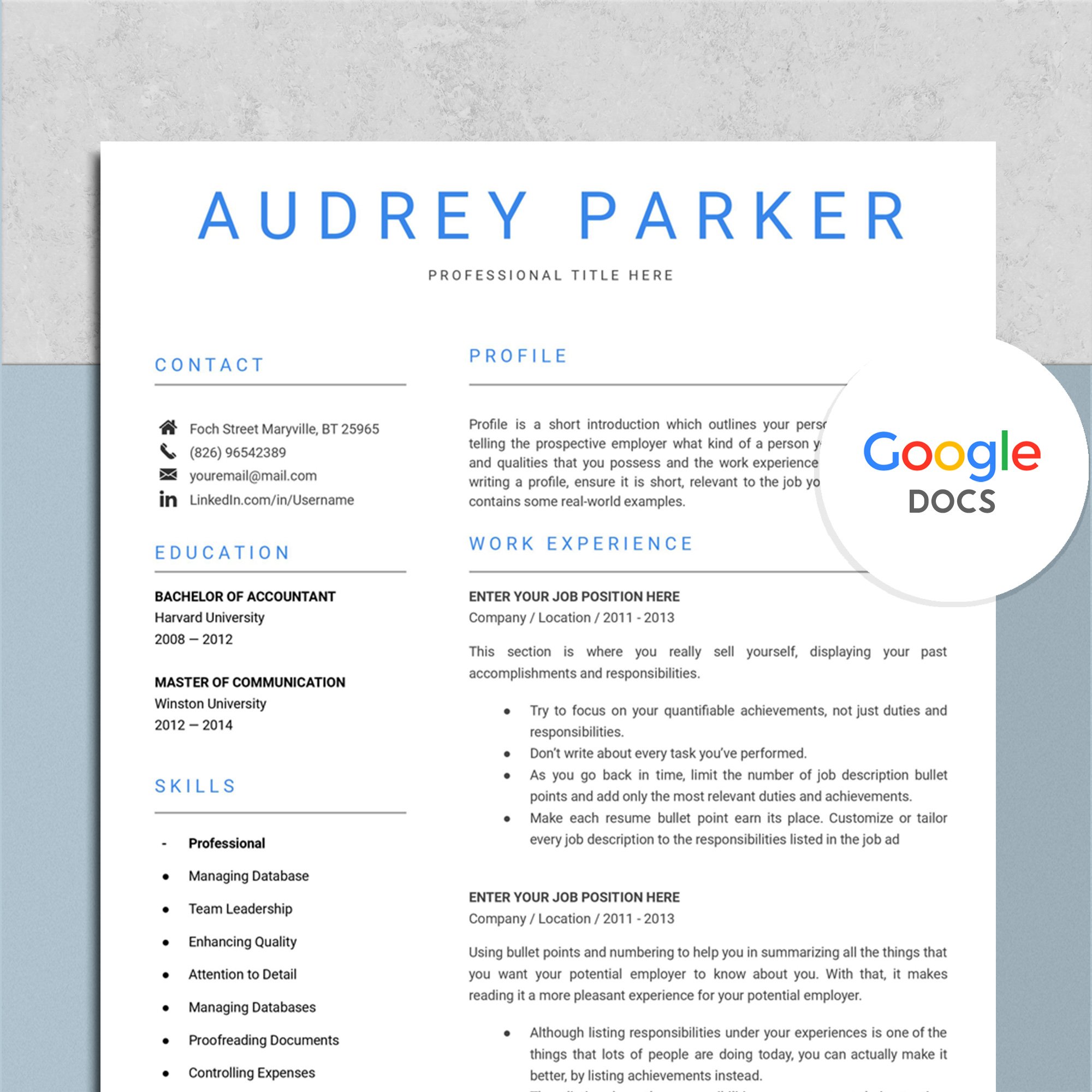Professional Google Docs Resume preview image.